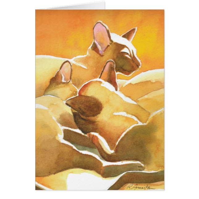 Sunshine Siamese Cats (Front)