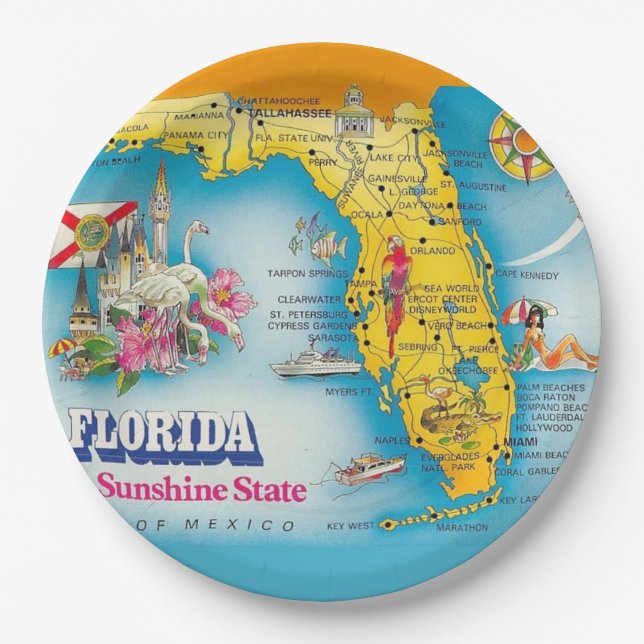 Sunshine State - Florida  Paper Plate (Front)