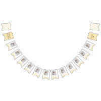 Sunshine Sun Yellow Birthday Milestones Photos