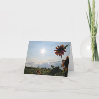 Sunshine & Sunflowers Note Card 