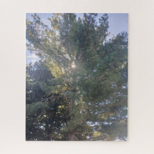 Sunshine Through The Tree Jigsaw Puzzle
