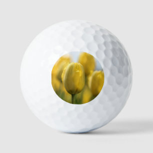 Sunshine tulips golf balls
