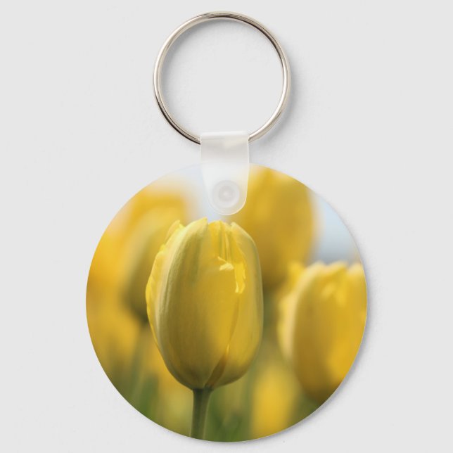 Sunshine tulips key ring (Front)