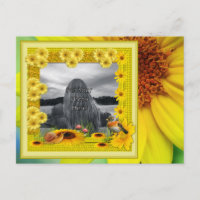 Sunshine Yellow Sunflower Photo Frame