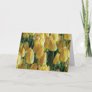 Sunshine Yellow Tulips Card