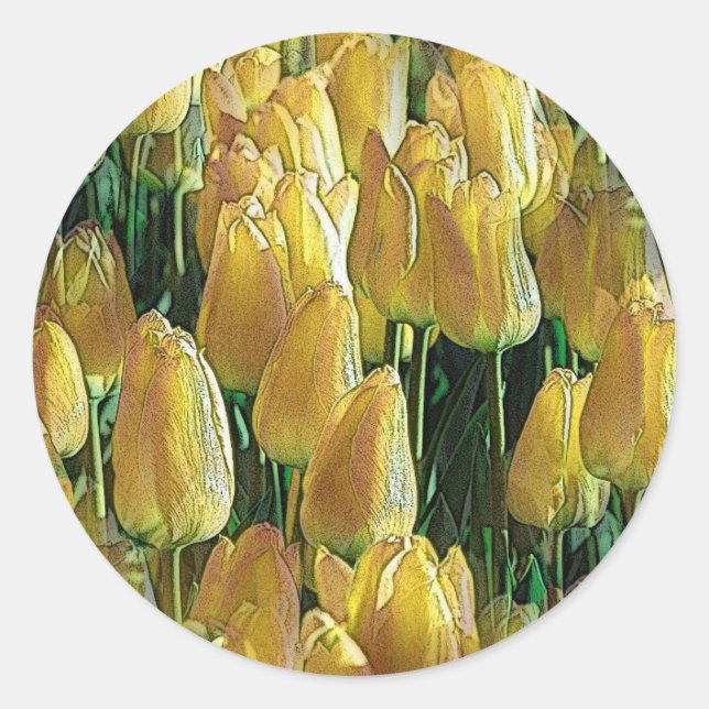 Sunshine Yellow Tulips Classic Round Sticker (Front)