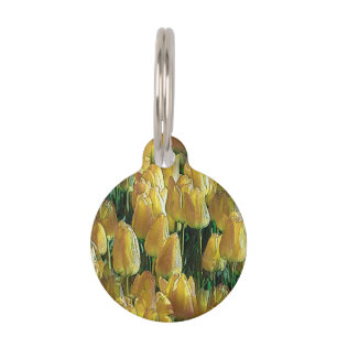 Sunshine Yellow Tulips Pet Tag