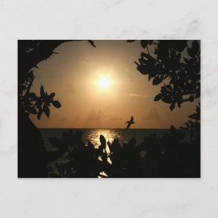sunst postcard