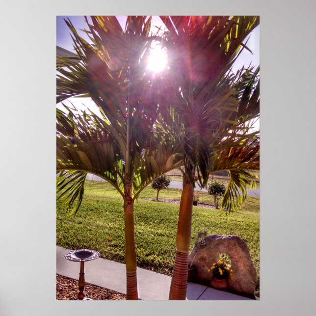 Sunstar sunburst Palm trees Birdbath Poster (Front)