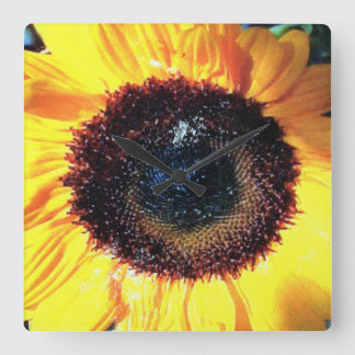 SUNTIME SQUARE WALL CLOCK