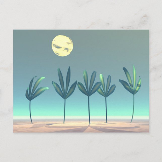 suntrees20 postcard (Front)