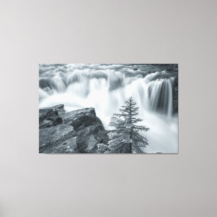 Sunwapta Falls bw Canvas Print