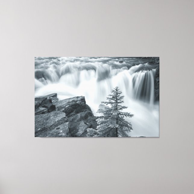 Sunwapta Falls bw Canvas Print (Front)