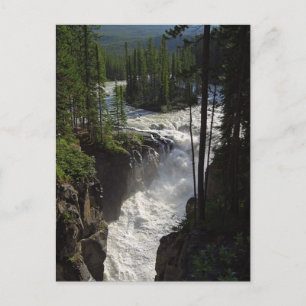 Sunwapta Falls In Jasper National Park Postcard