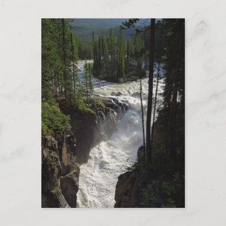Sunwapta Falls In Jasper National Park Postcard