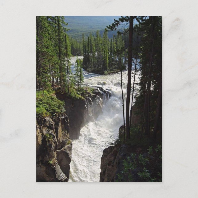 Sunwapta Falls Jasper Canada Landscape Postcard (Front)