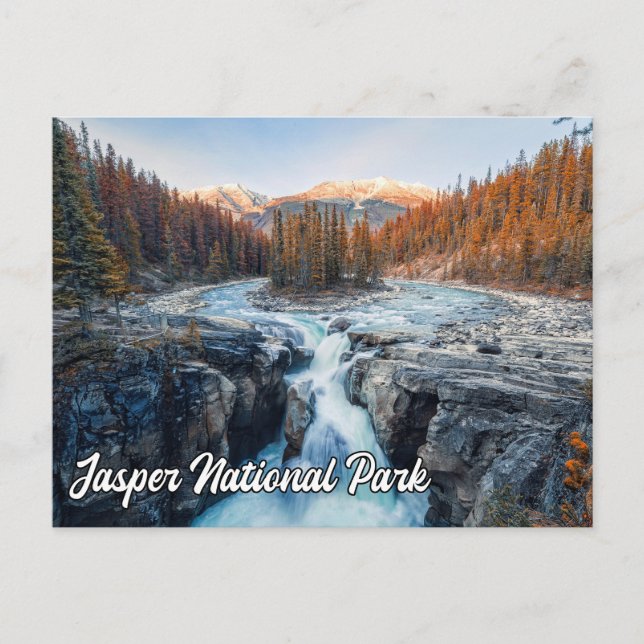 Sunwapta Falls, Jasper National Park Postcard (Front)