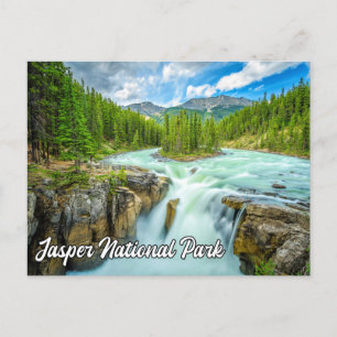 Sunwapta Falls, Jasper National Park Postcard