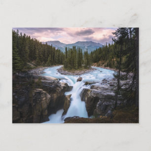 Sunwapta Falls    Jasper National Park Postcard