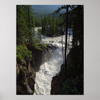 Sunwapta Falls Jasper National Park Poster