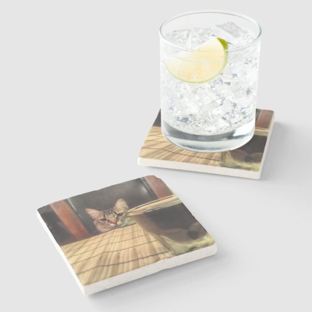 Sup Beer? Funny Humour Kitty Cat Photo Photography Stone Coaster (Side)