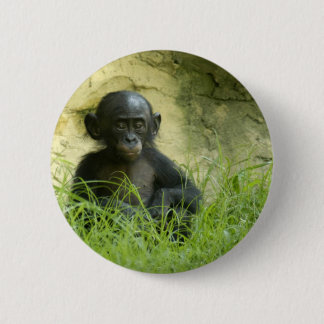 Sup? DArcy Evans Photo 6 Cm Round Badge