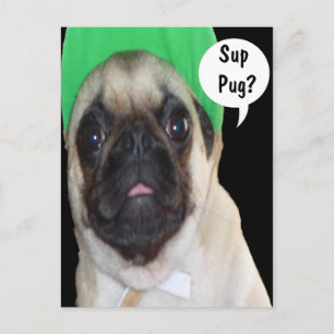 Sup Pug? Postcard