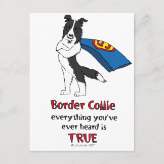 Super Border Collie Black Postcard