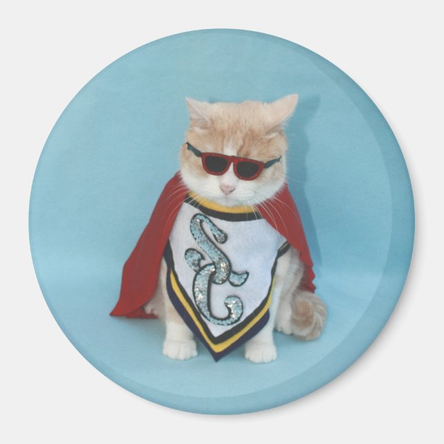 Super Cat Magnet (Front)