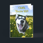 Super Cute and Funny Dog Happy 48th Birthday Card<br><div class="desc">A smiling Siberian Husky dog in wild flowers and an OMG you're 48?!  A funny inside too.  Just a cute way to celebrate a 48th birthday!</div>