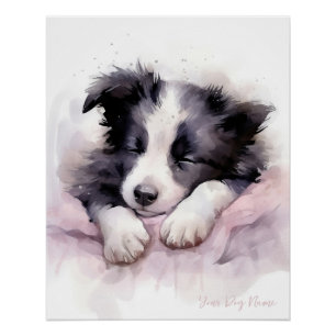 Super cute angel sleeping puppy Border Collie dog  Poster
