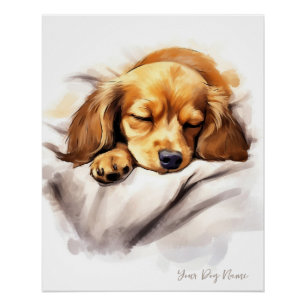 Super cute angel sleeping puppy Dachshund Dog 001  Poster