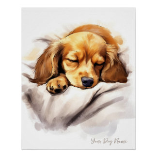Super cute angel sleeping puppy Dachshund Dog 001  Poster