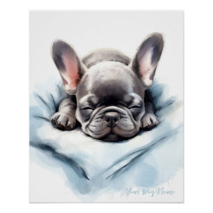 Super cute angel sleeping puppy French Bulldog 002 Poster