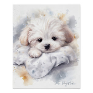 Super cute angel sleeping puppy Maltese Dog 002 Poster
