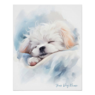 Super cute angel sleeping puppy Maltese Dog 003 Poster