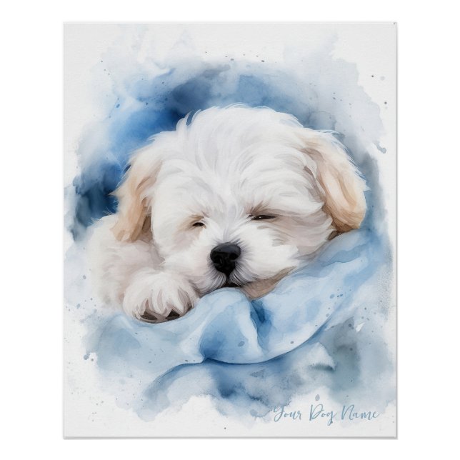 Super cute angel sleeping puppy Maltese Dog 004 Poster (Front)