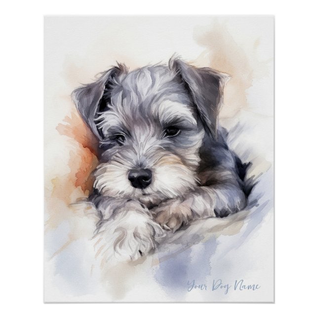 Super cute angel sleeping puppy Schnauzer Dog 003 Poster (Front)