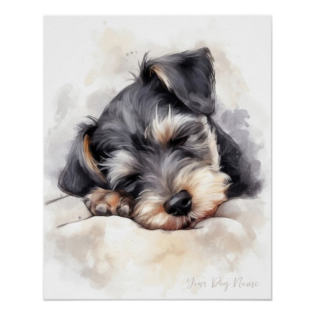 Super cute angel sleeping puppy Schnauzer Dog 004  Poster (Front)