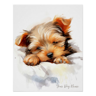 Super cute angel sleeping puppy Yorkshire Terrier  Poster