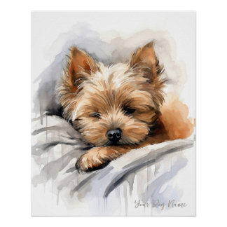 Super cute angel sleeping puppy Yorkshire Terrier  Poster