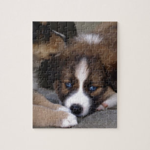 Super Cute Australian Shepherd Puppy Jigsaw Puzzle