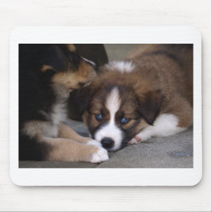 Super Cute Australian Shepherd Puppy Mouse Mat