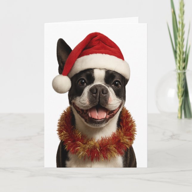 Super cute Boston Terrier Christmas card (Front)