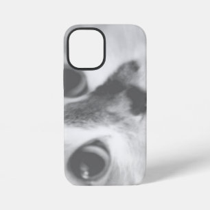 SUPER CUTE Cat Closeup Portrait Photograph iPhone 12 Mini Case