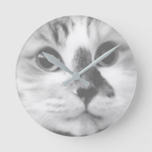 SUPER CUTE Cat Closeup Portrait Photograph Round Clock