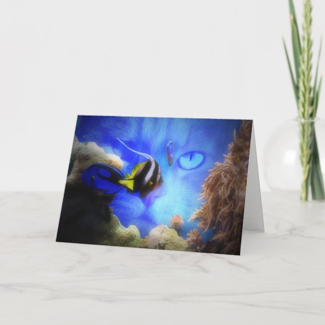 Super Cute Cat Funny Happy Birthday Card (Front)