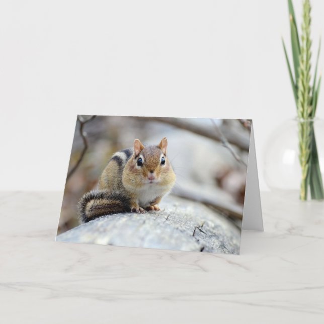 Super Cute Chipmunk Card (Front)