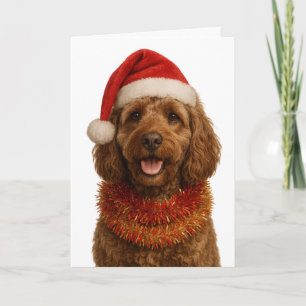 Super cute Cockerpoo Christmas card
