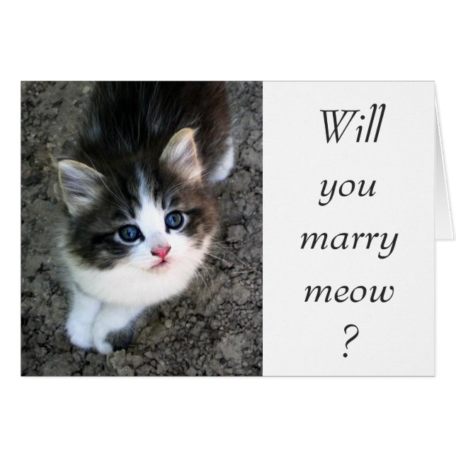 SUPER CUTE Customisable Wedding Proposal (Front Horizontal)